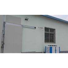 pu panel cold storage room for fish and chicken